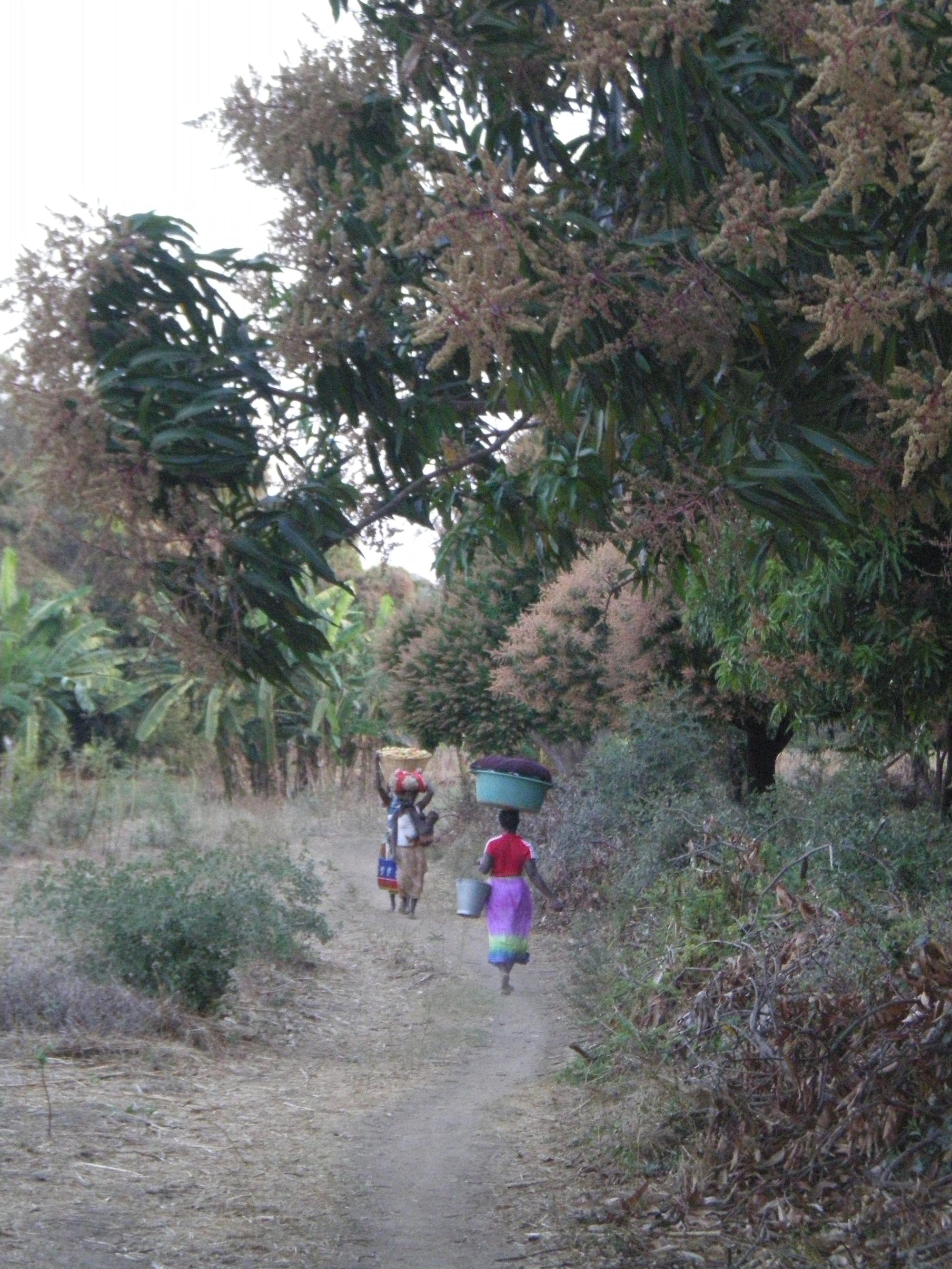 Camino de Changara